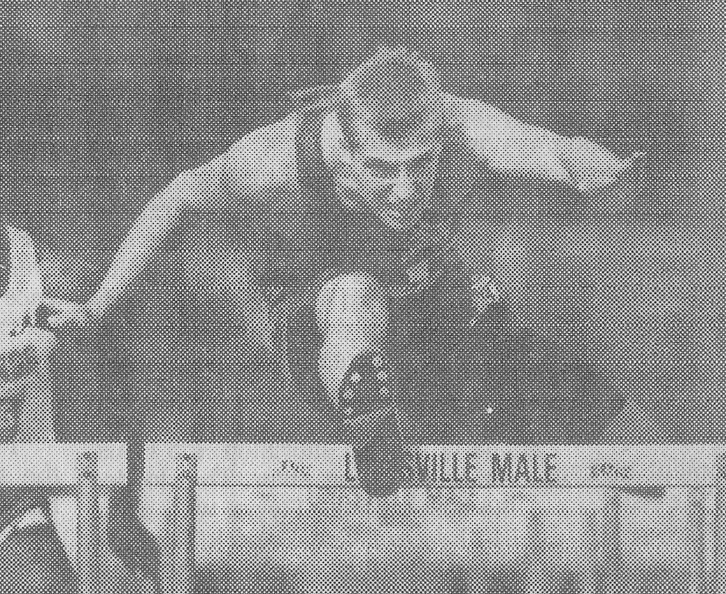 1993 Article