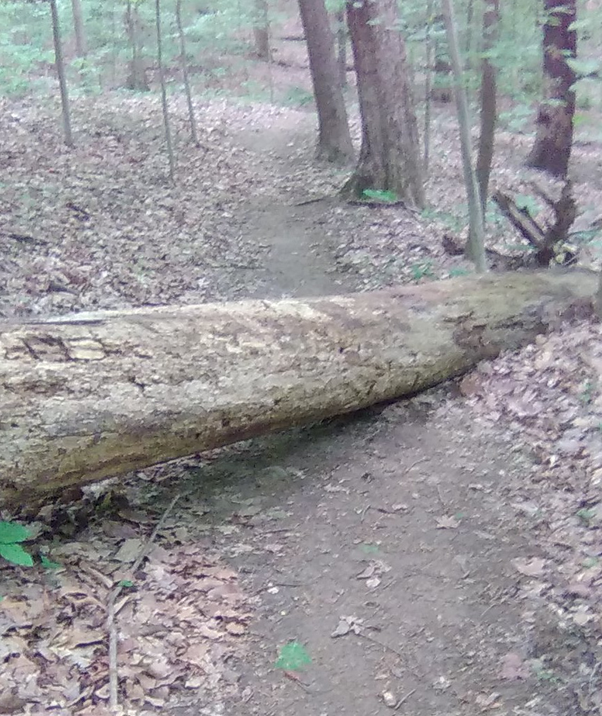 The Hurdle