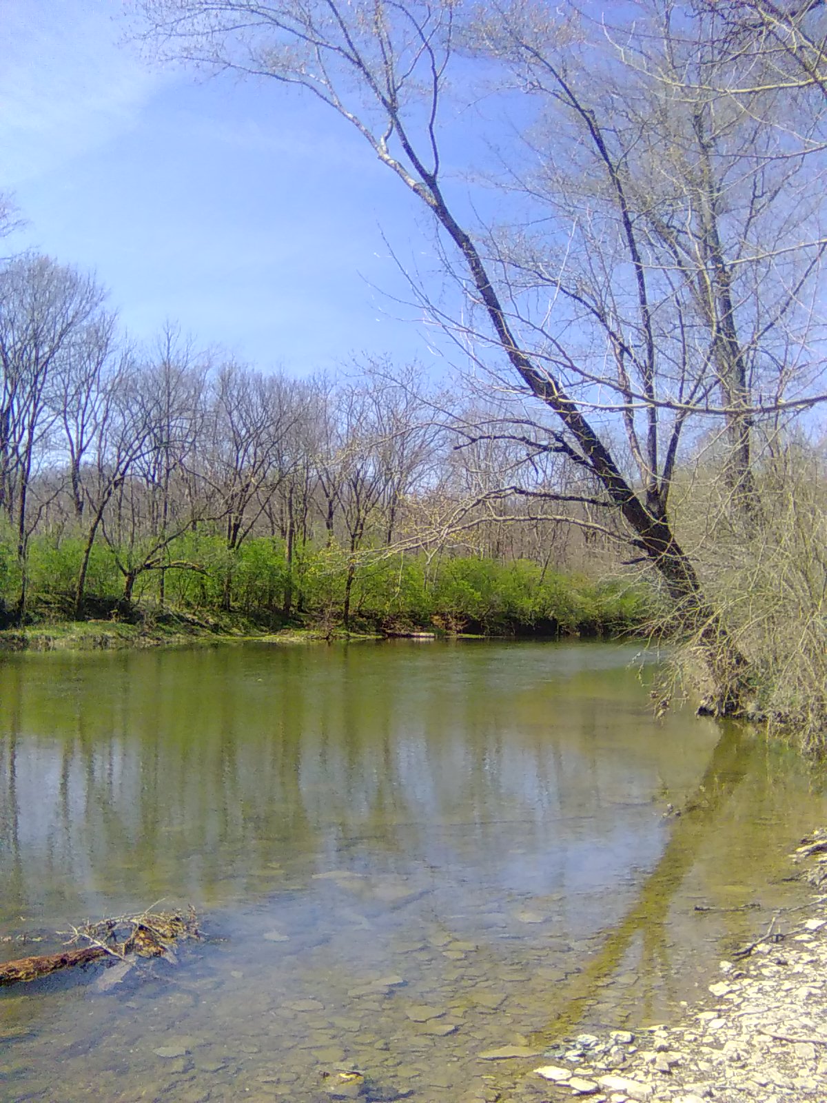 Creekside