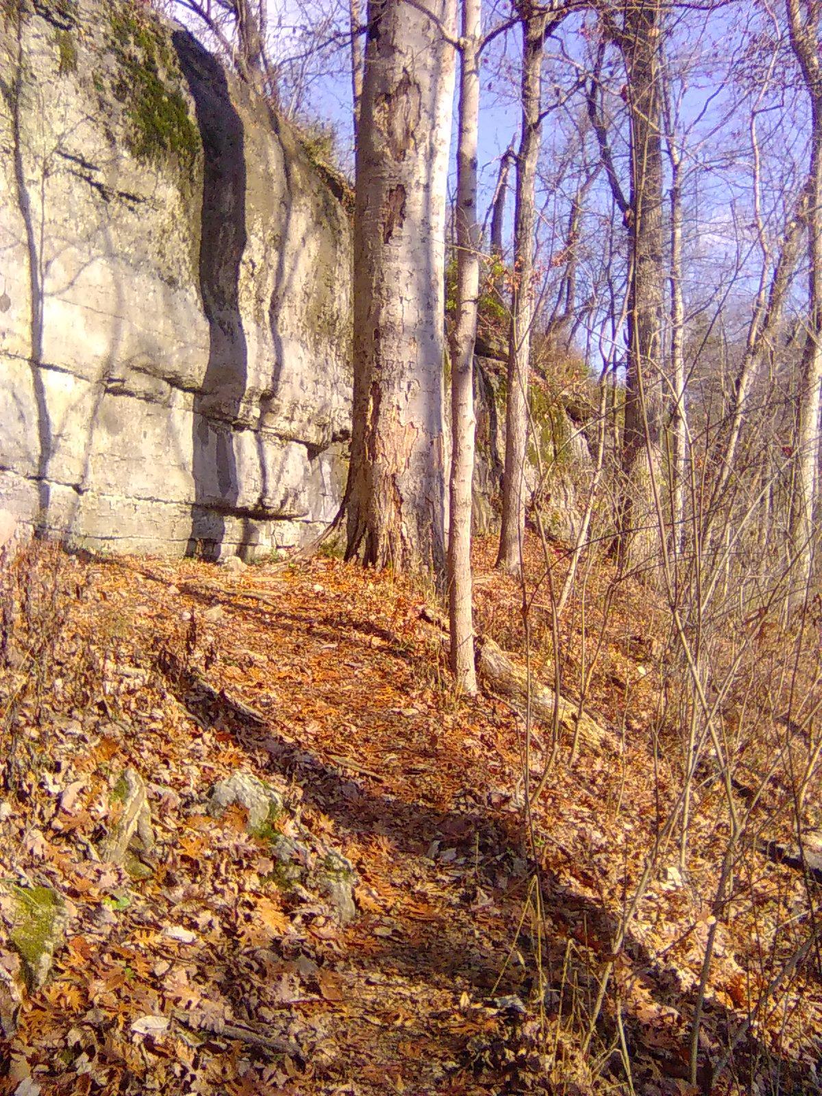 "A great object of all the art of a park is to influence