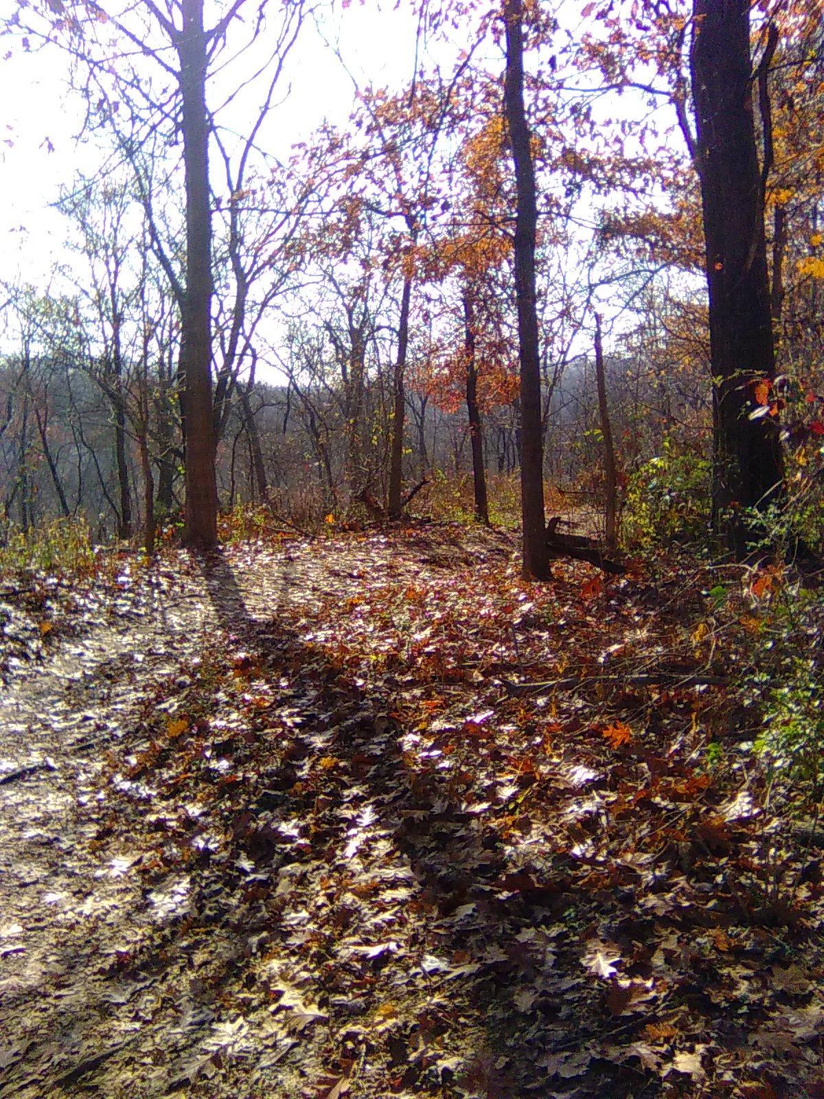 Cherokee Park