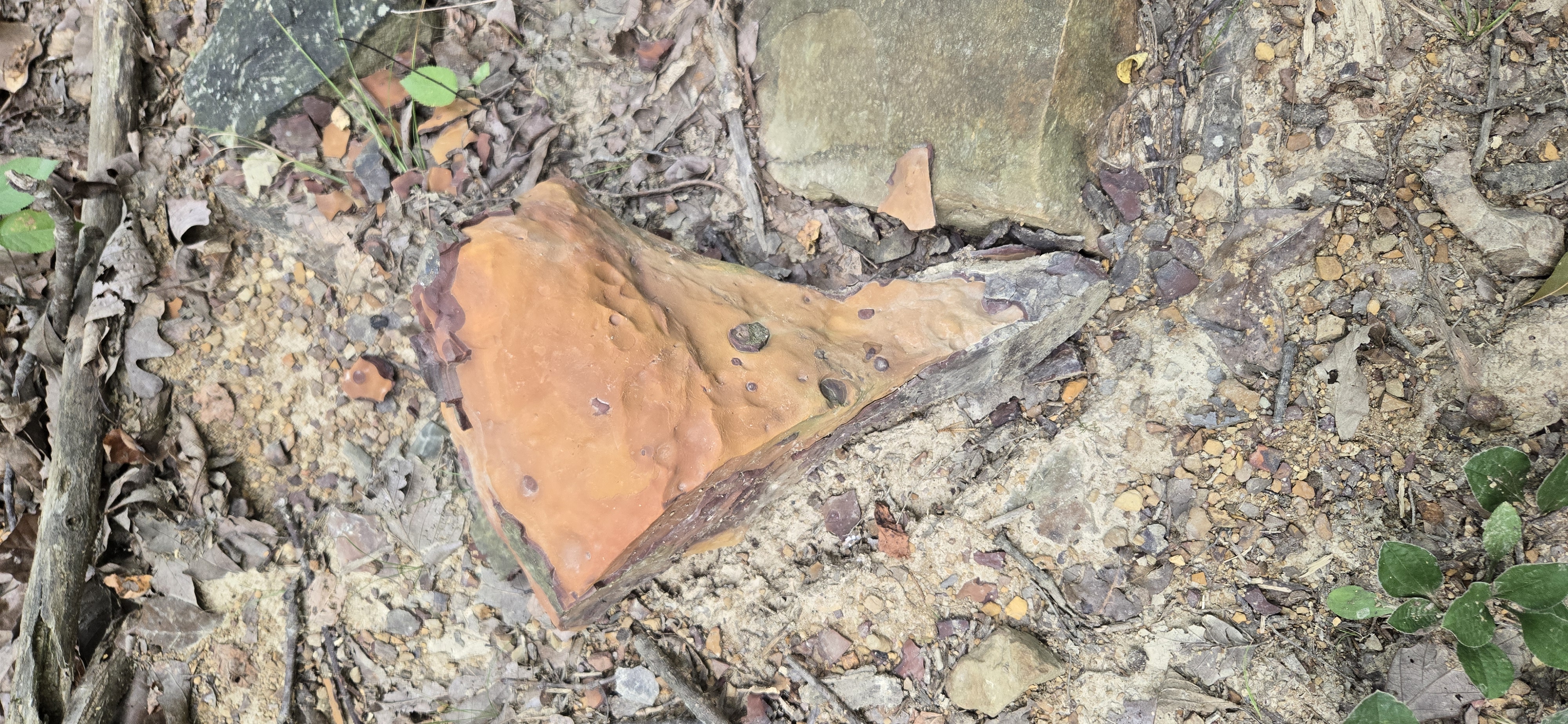 Ironstone Concretion Ironstone Concretion