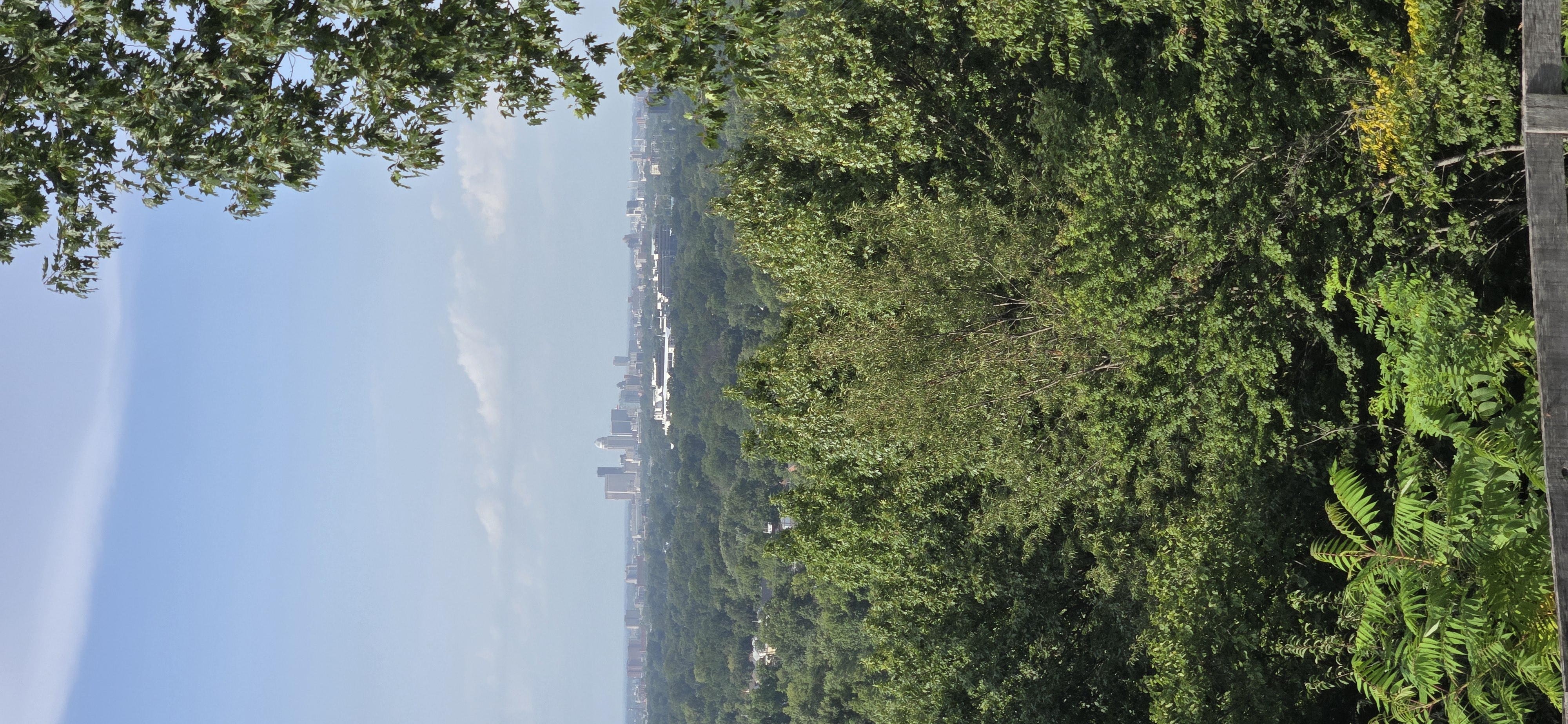 Overlook to Downtown Overlook to Downtown