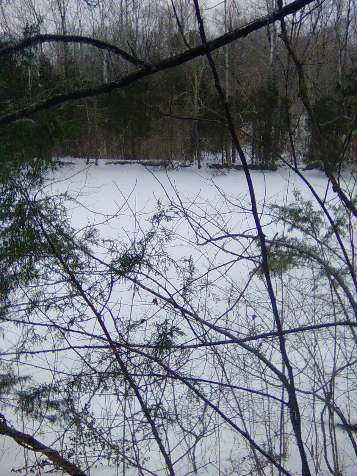 Frozen Lake