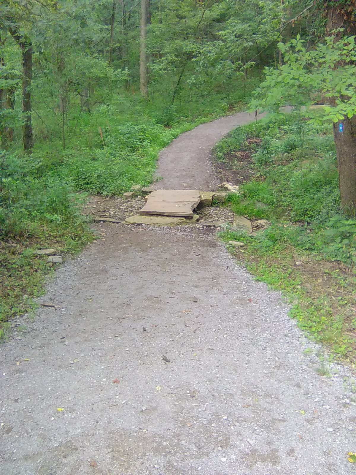 Echo Rim Trail