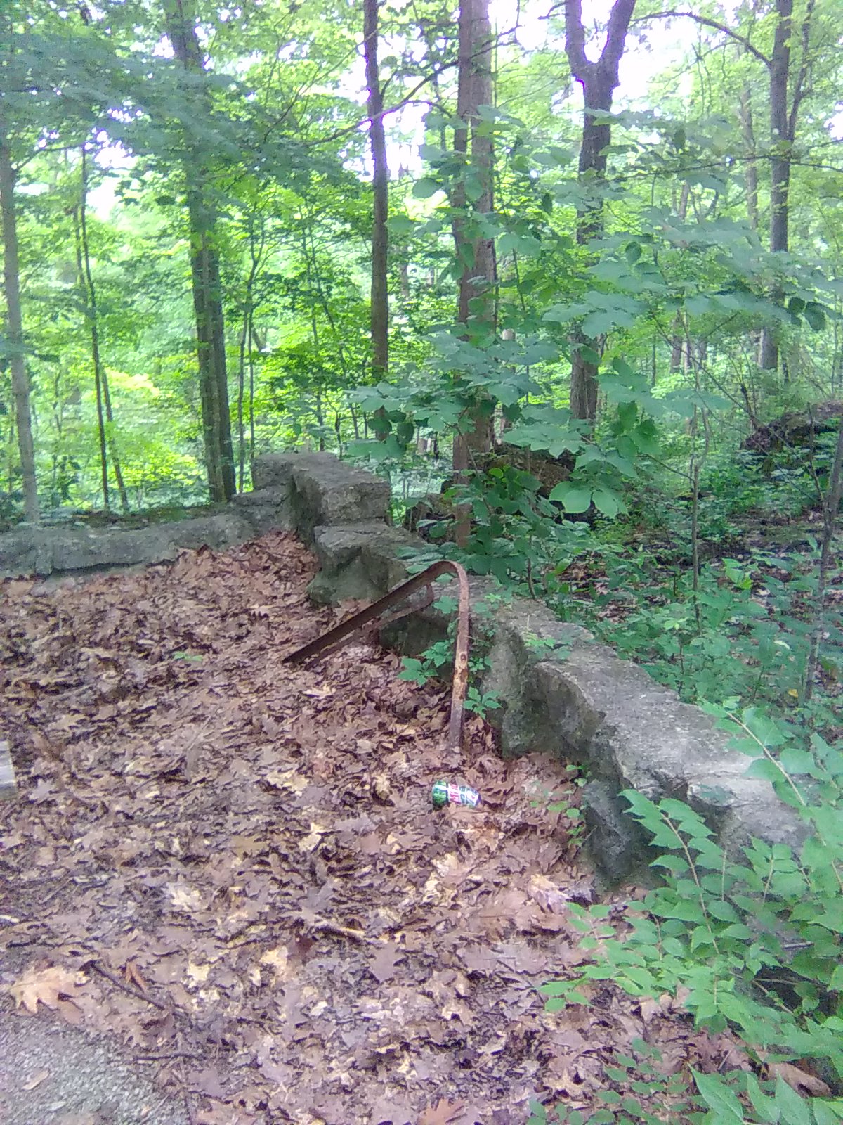 Trail Head