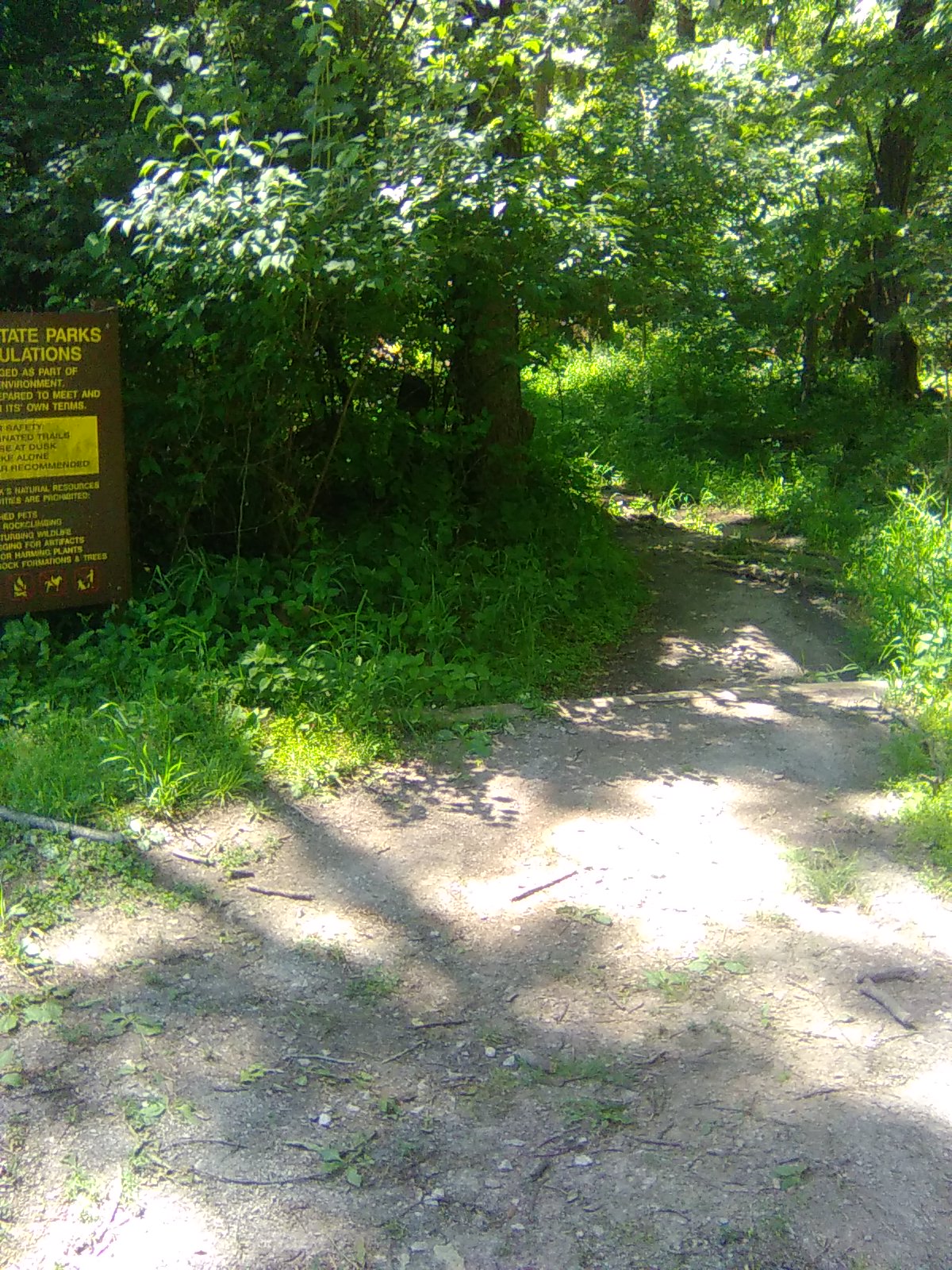 Trail Head