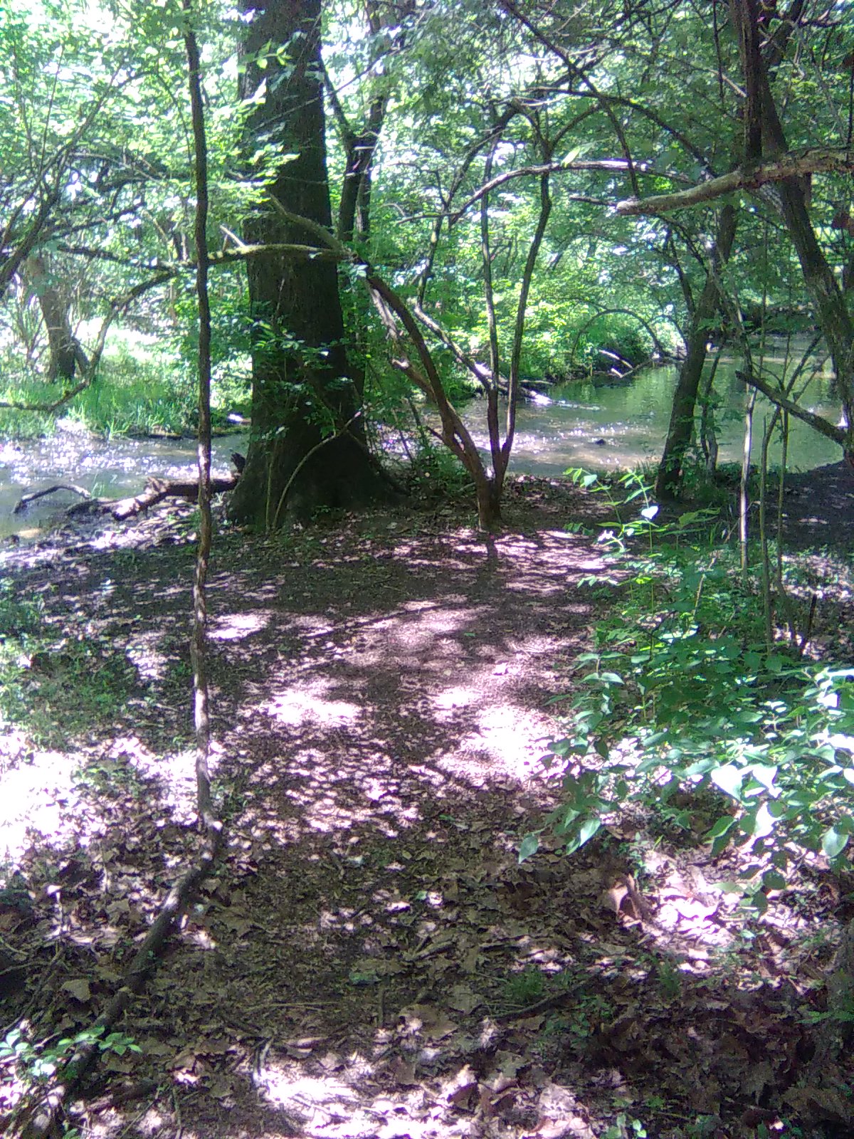 Creek