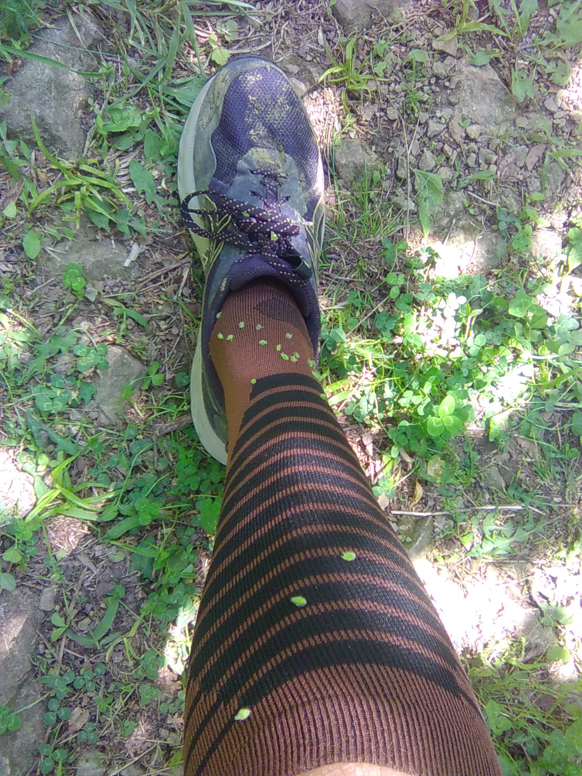 Cleavers