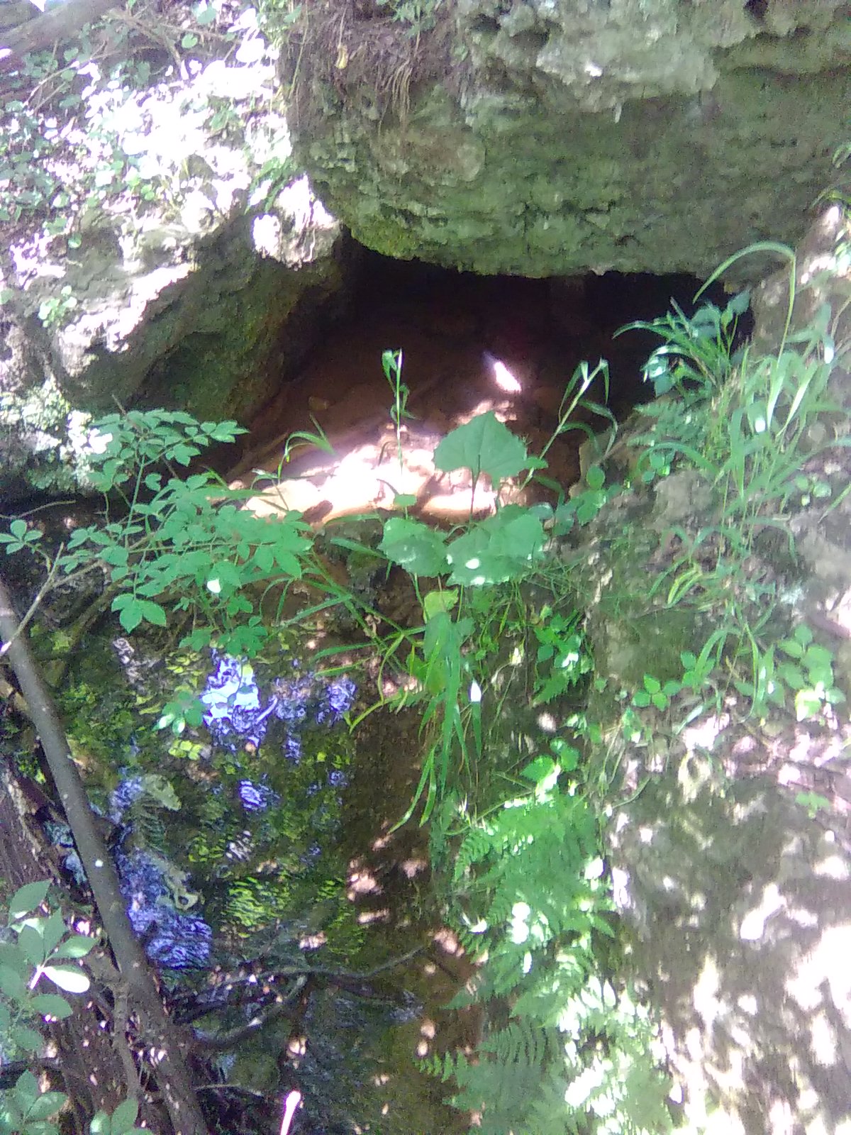 Cave