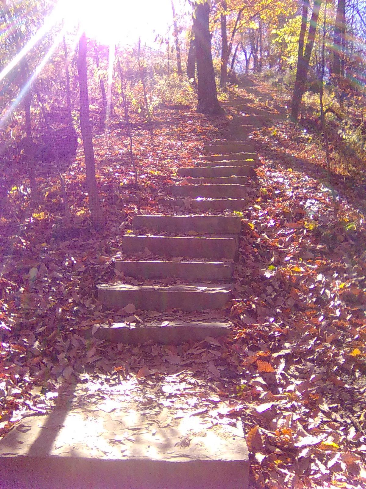 Bridge Built by Eagle Scouts in 2000