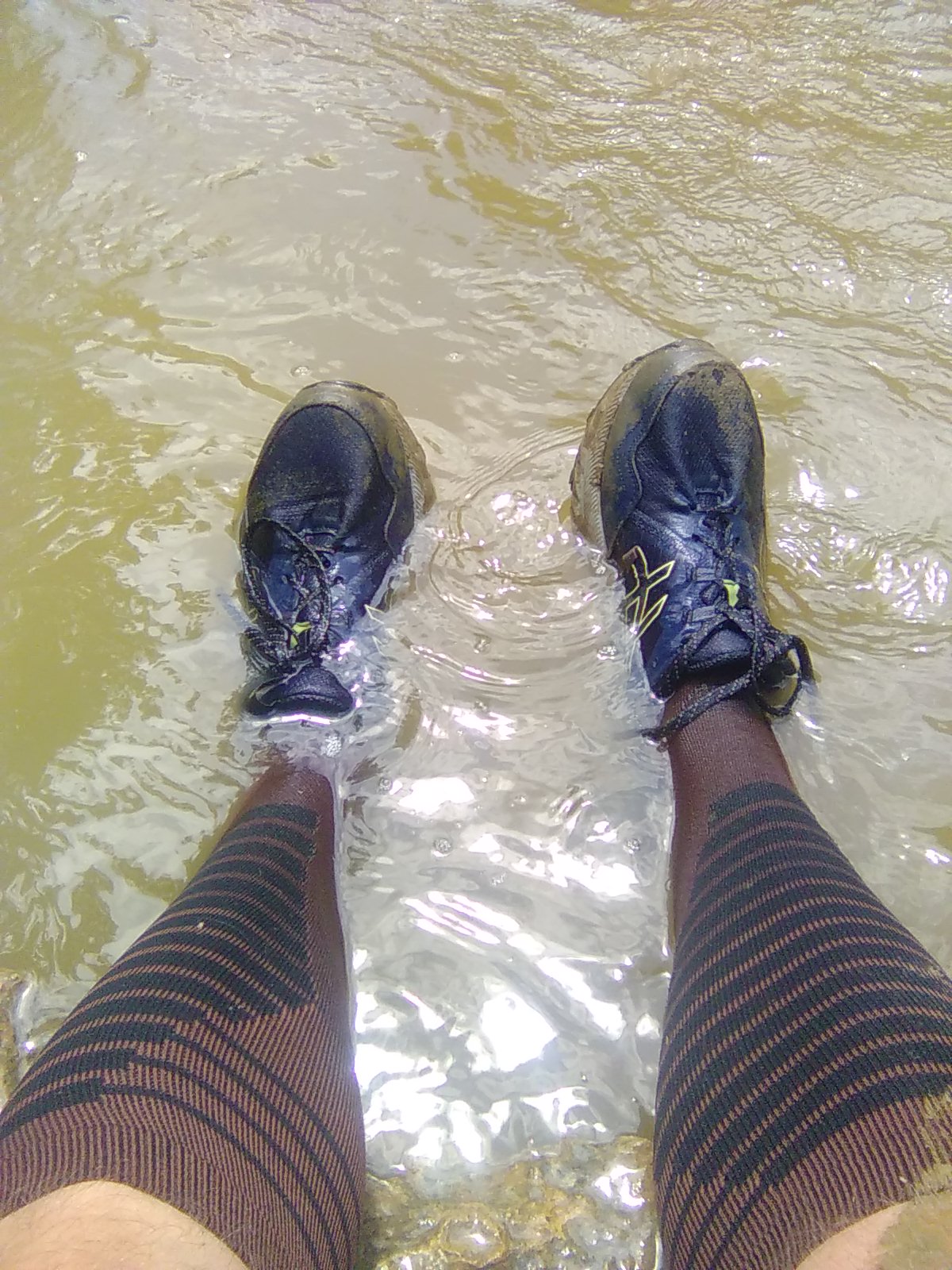 Shoe Bath