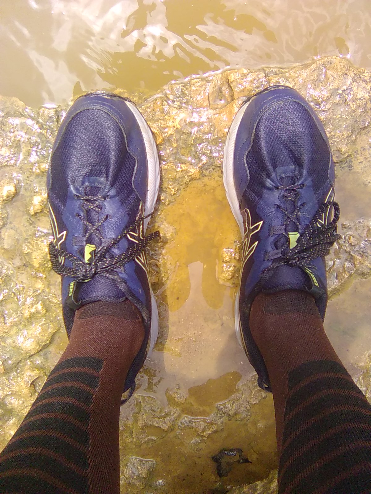 Good Ol' Asics