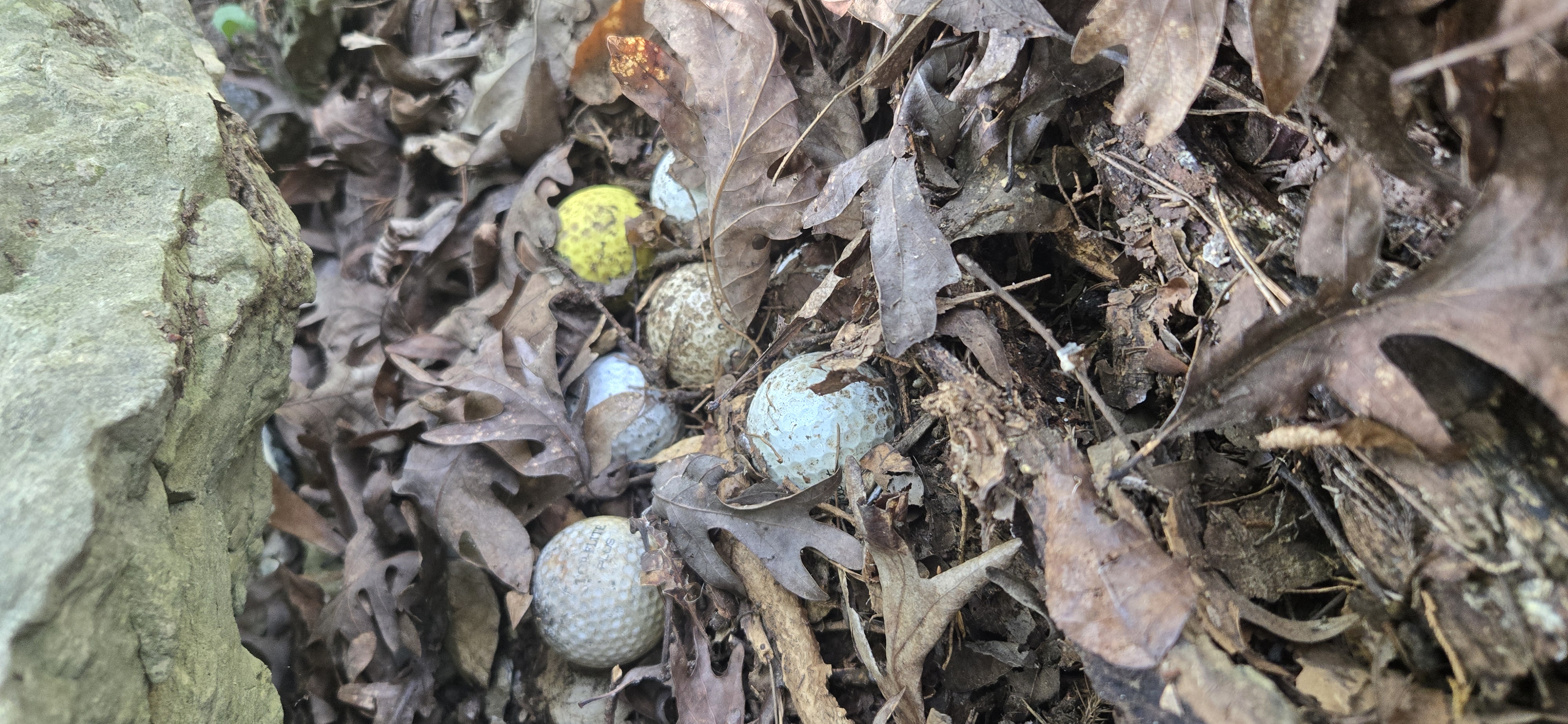 Secret Golf Ball Cache