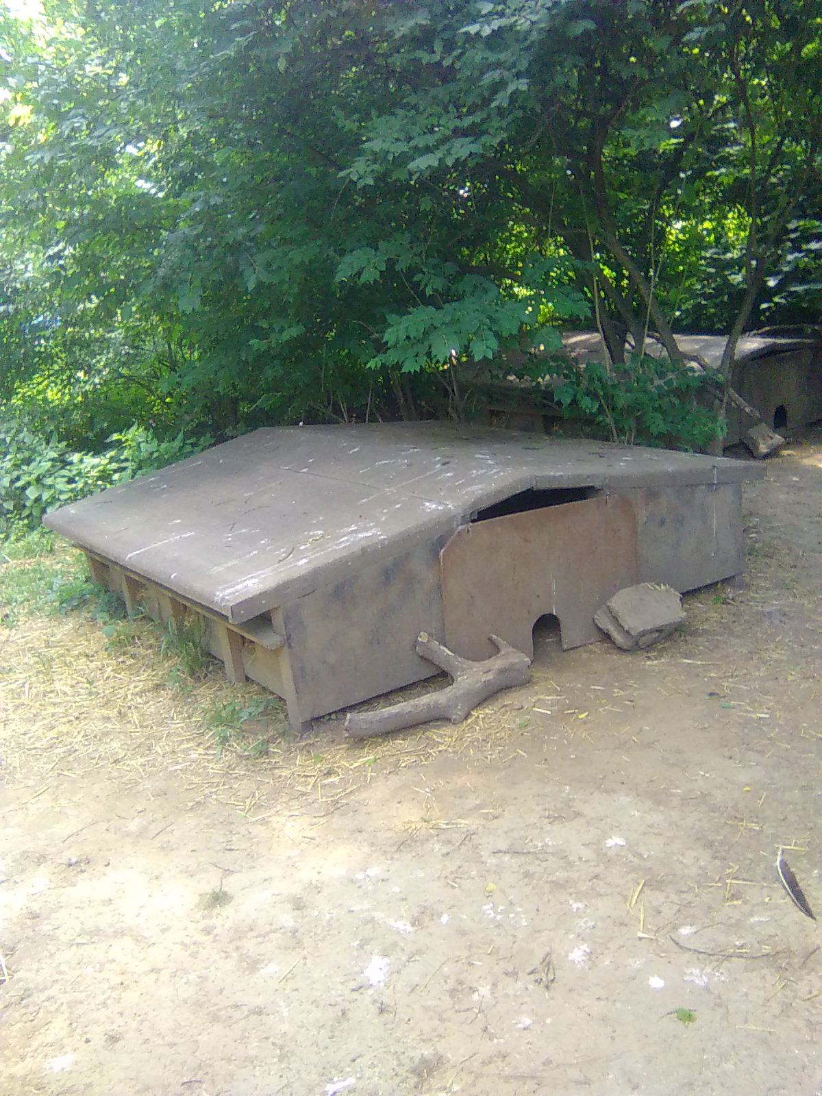 Cat House