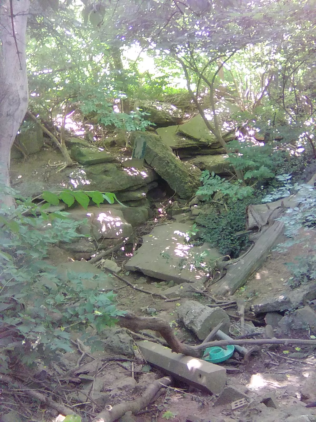 Cave Roof