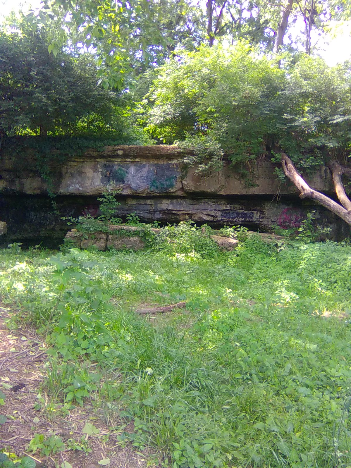 Cave Front