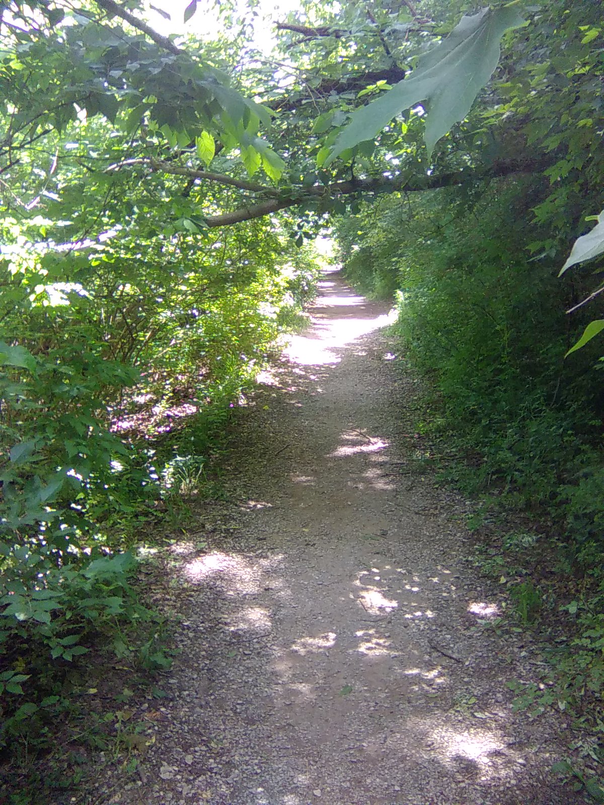 Shaded Path