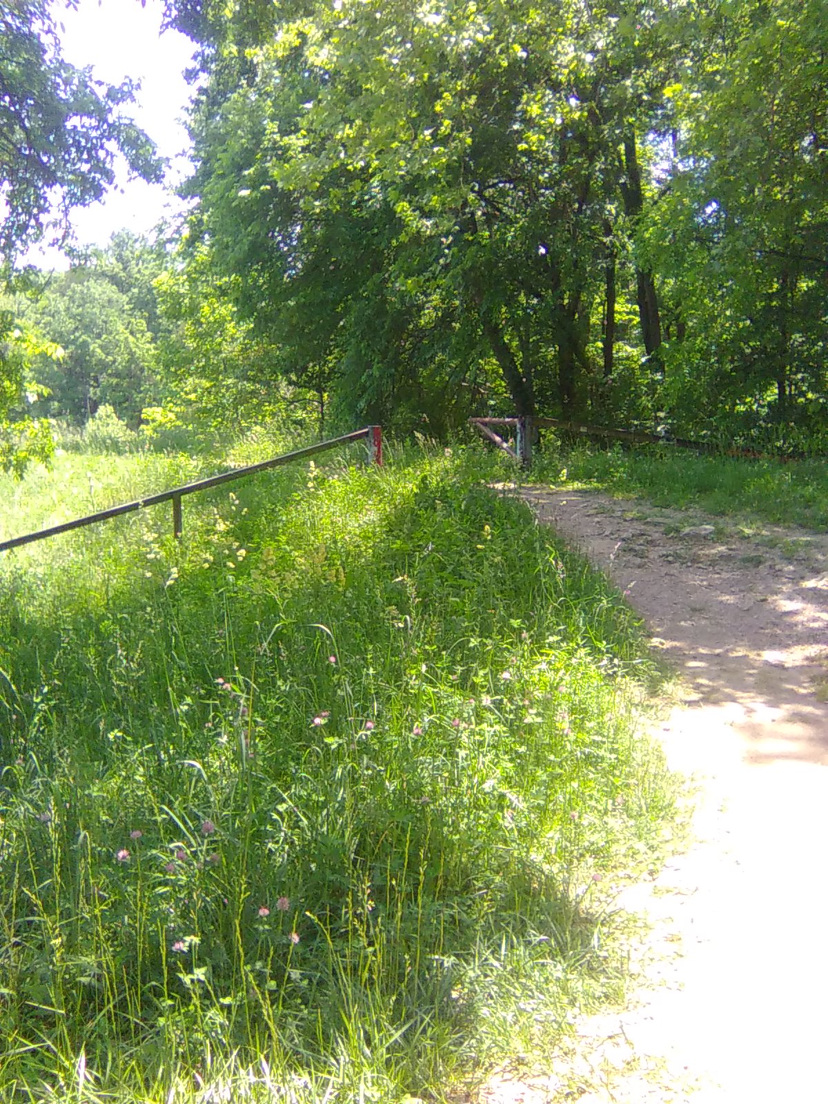 The Gate