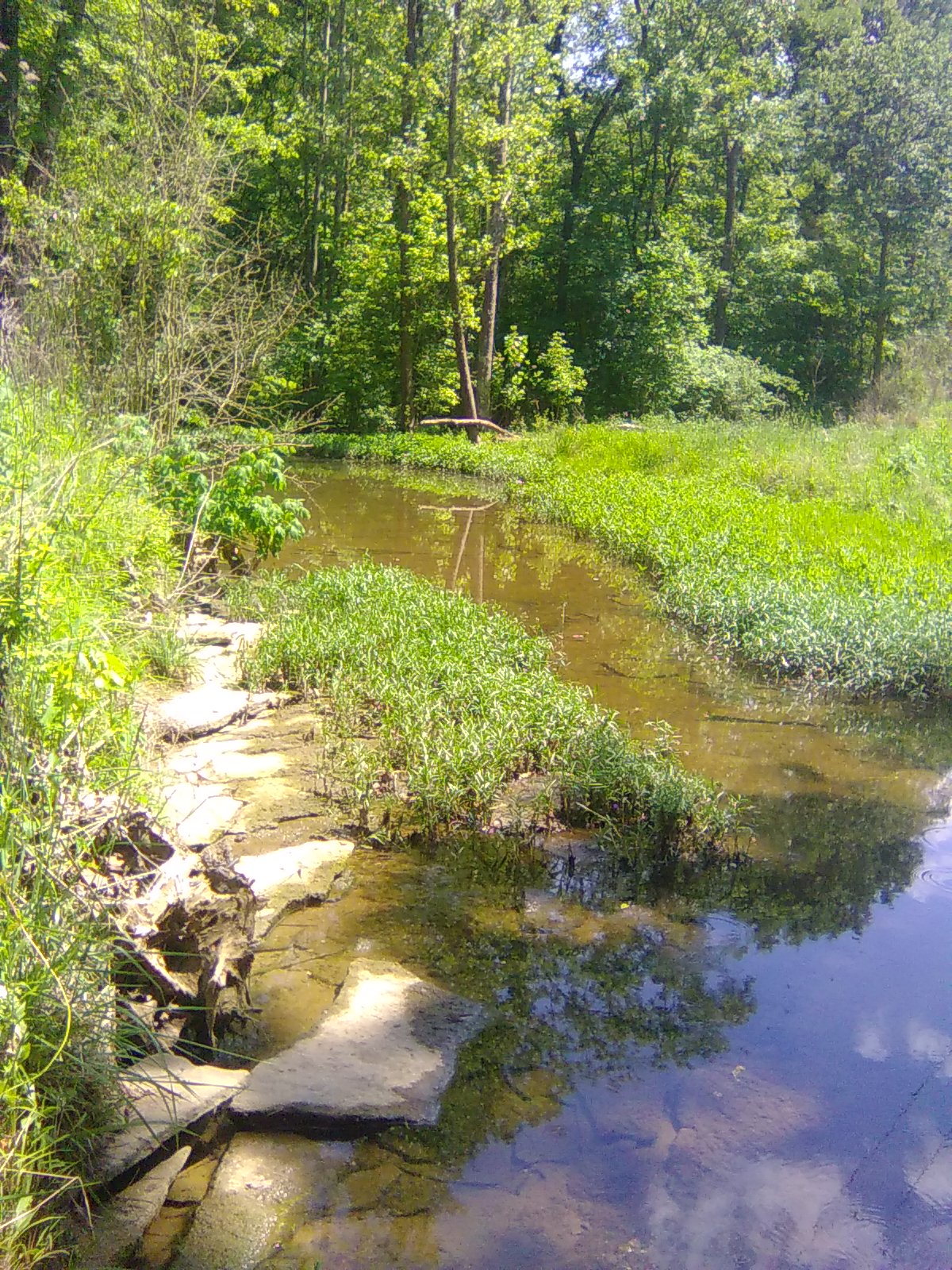 Penn Creek