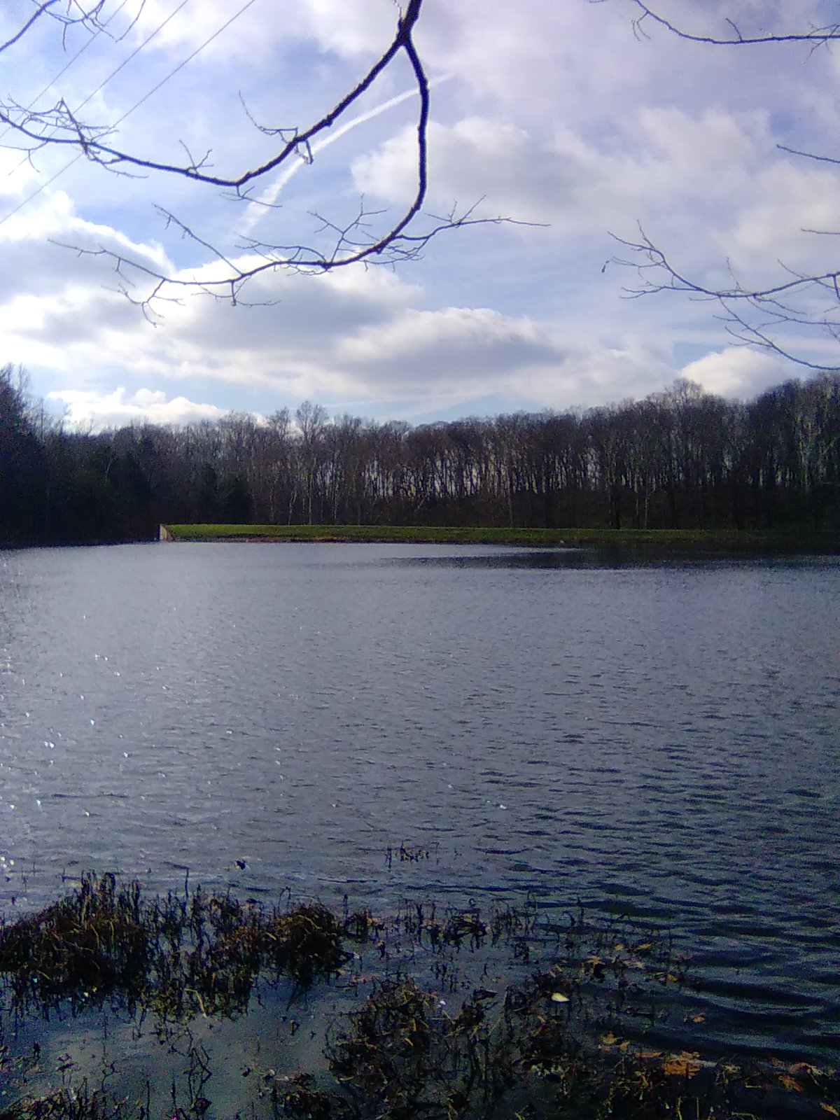 The Dam