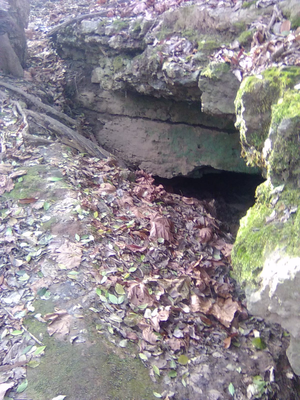 Cave
