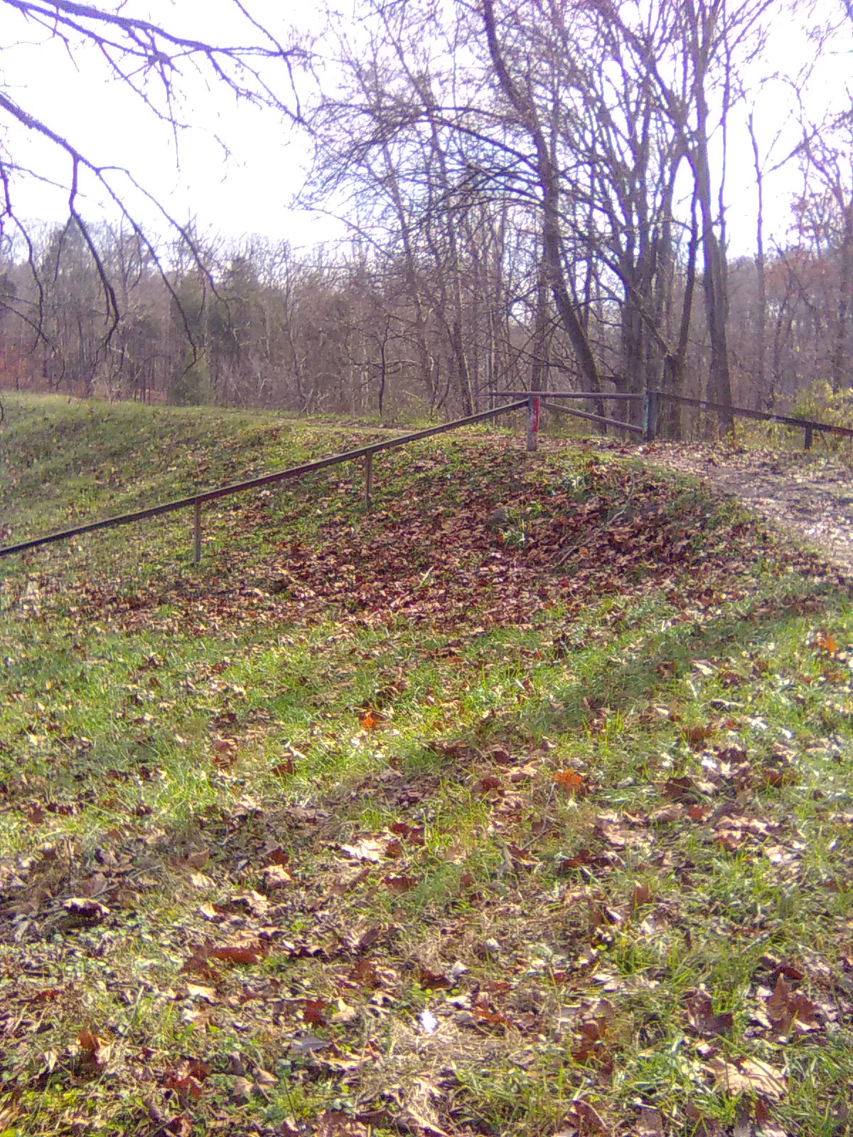 The Gate