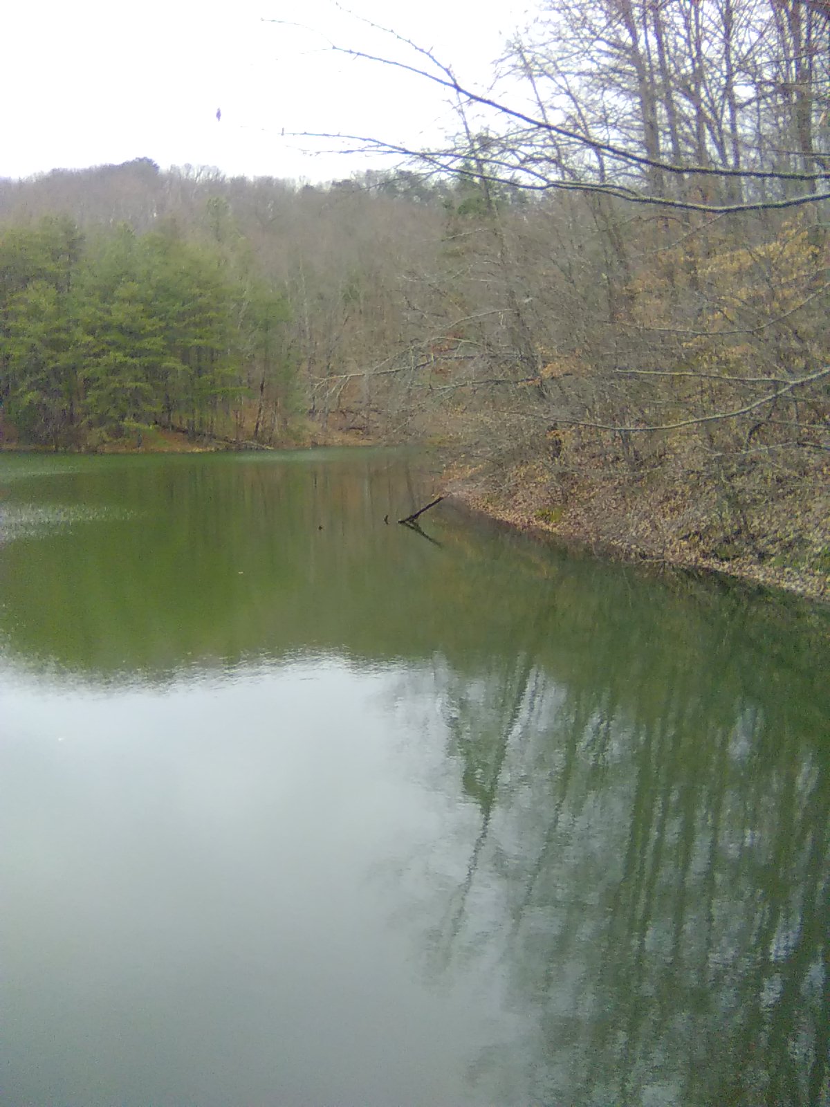Mitchell Lake