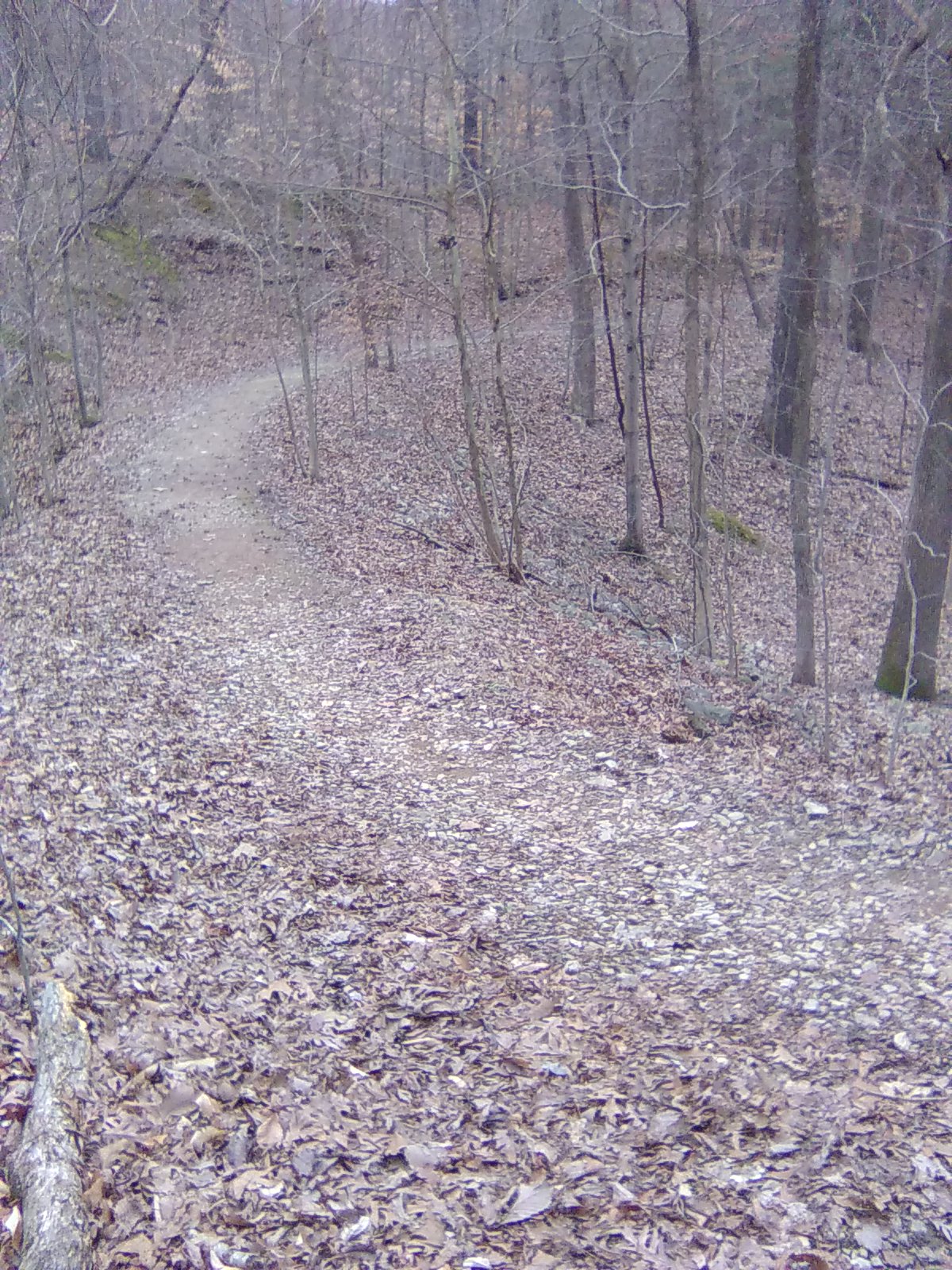 The Climb