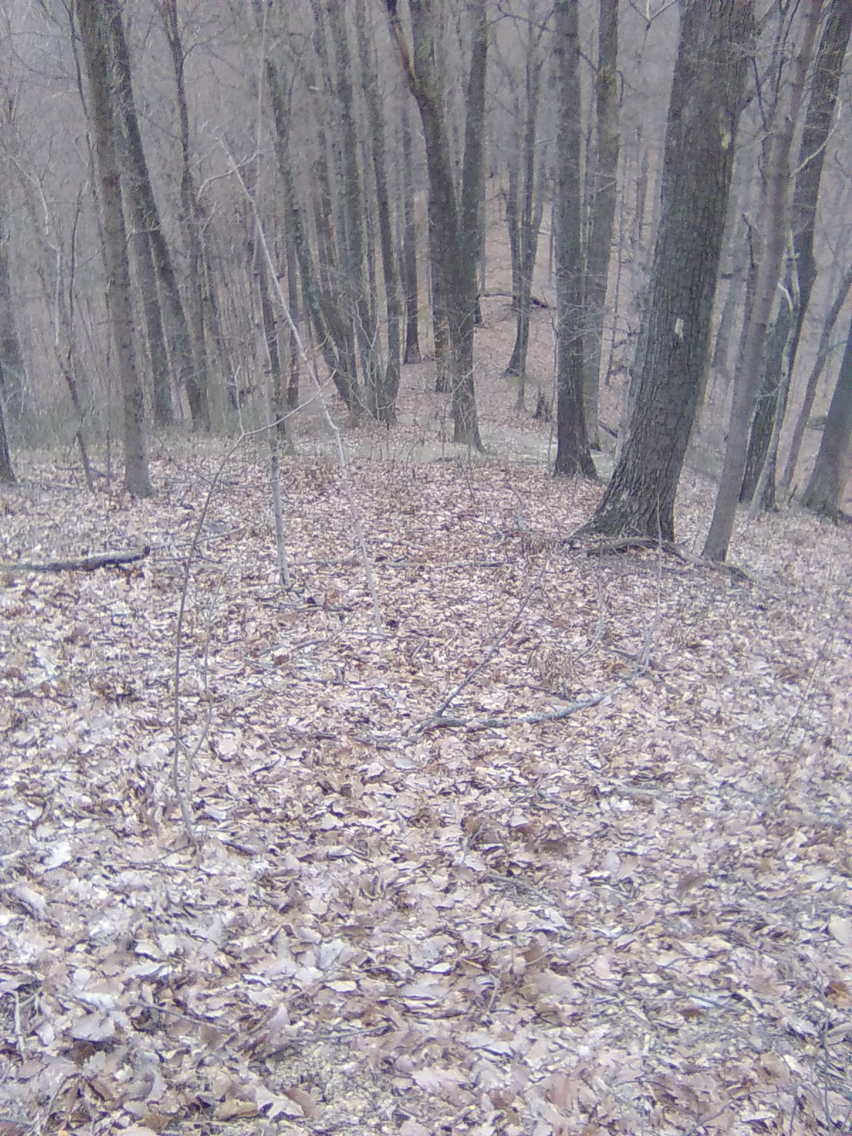 Downhill