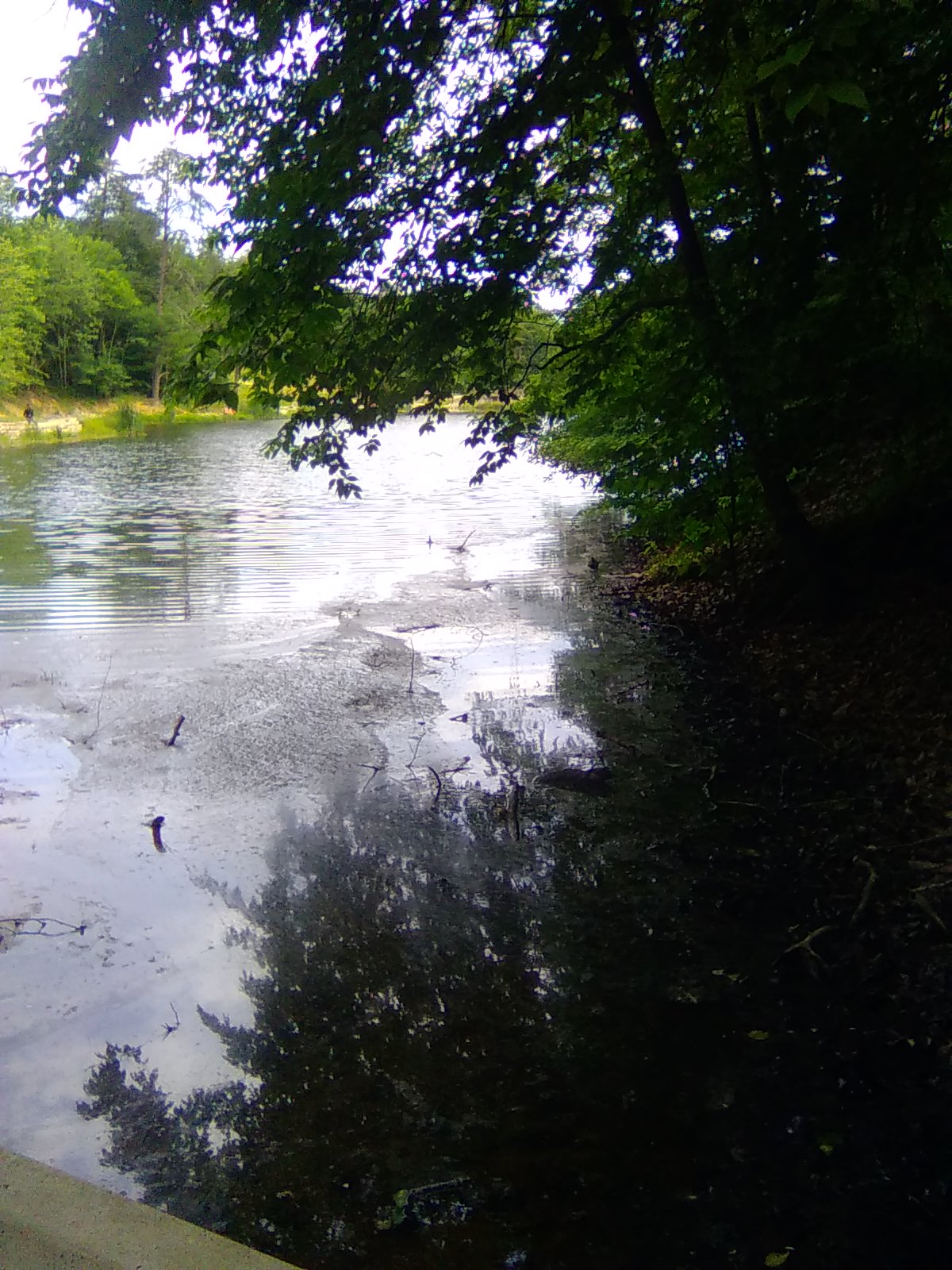 Lake