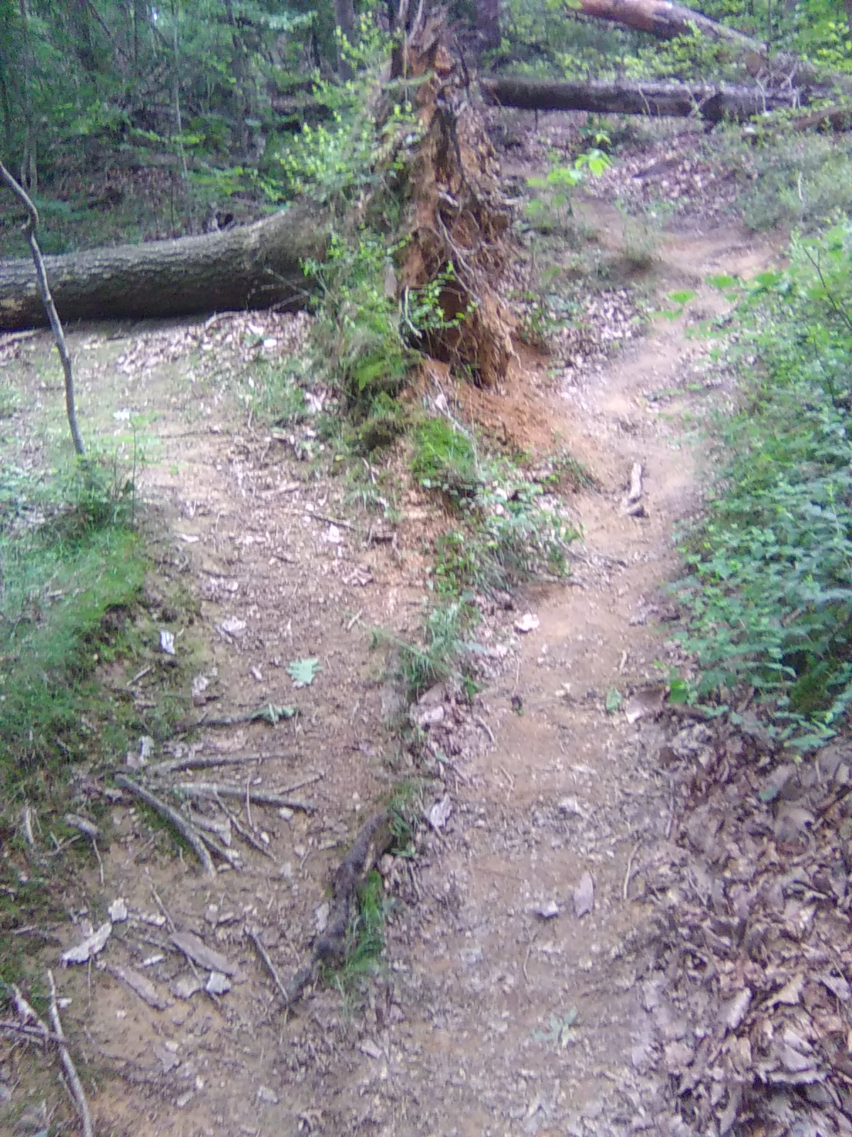 Two Paths