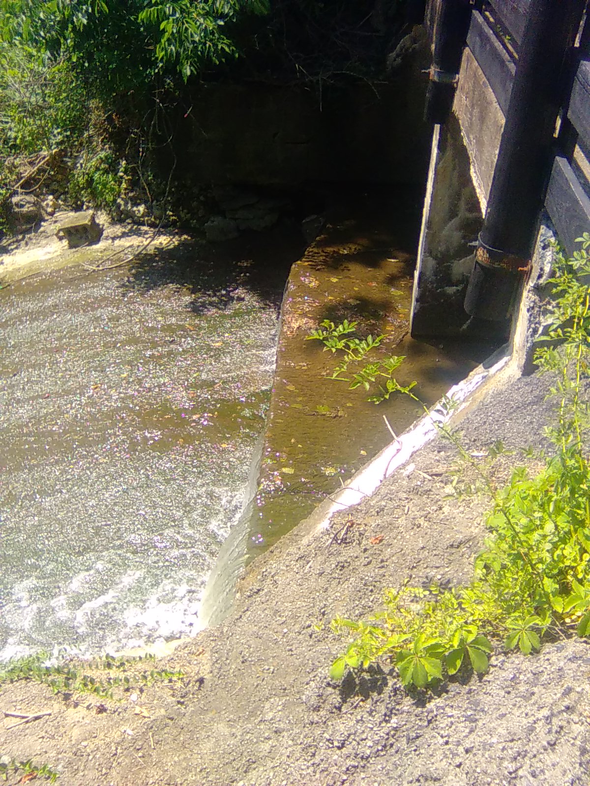 Pond Spillway