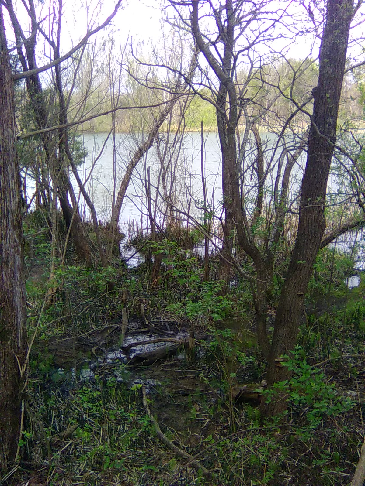 Boulder Pond