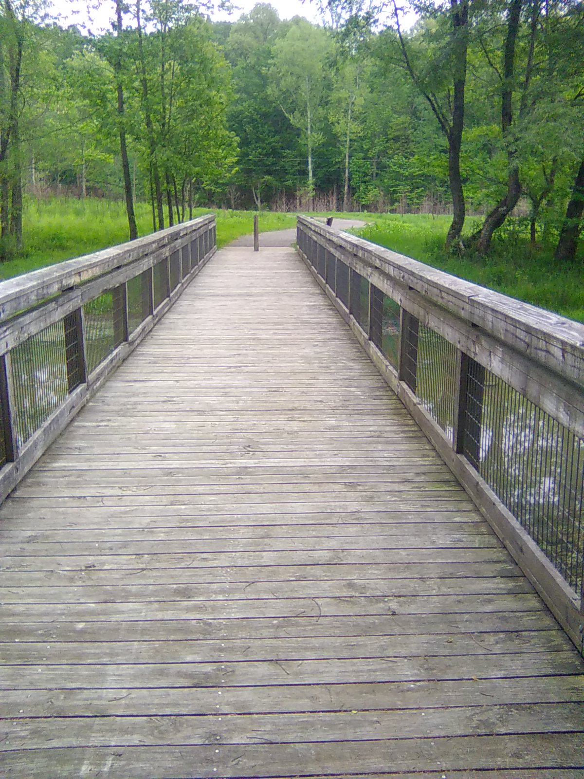 Meadow Bridge