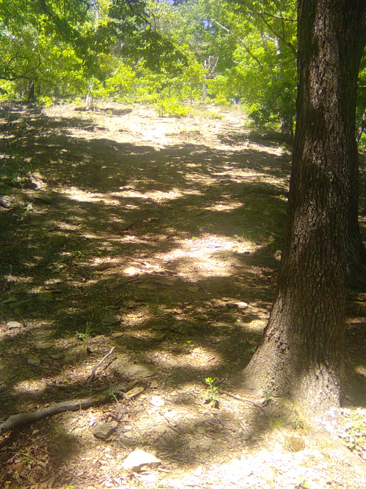 The Shortcut