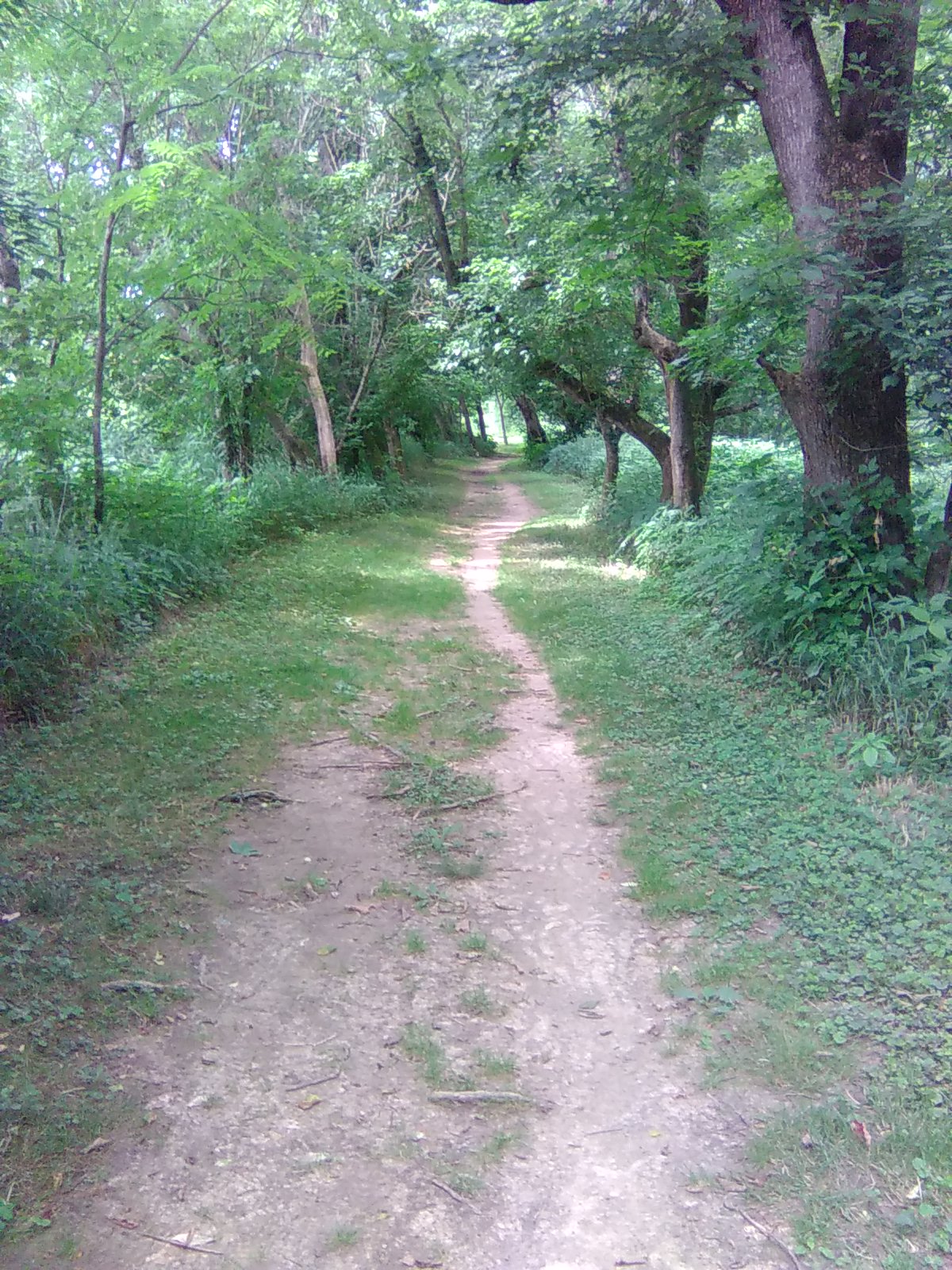 Seaton Valley