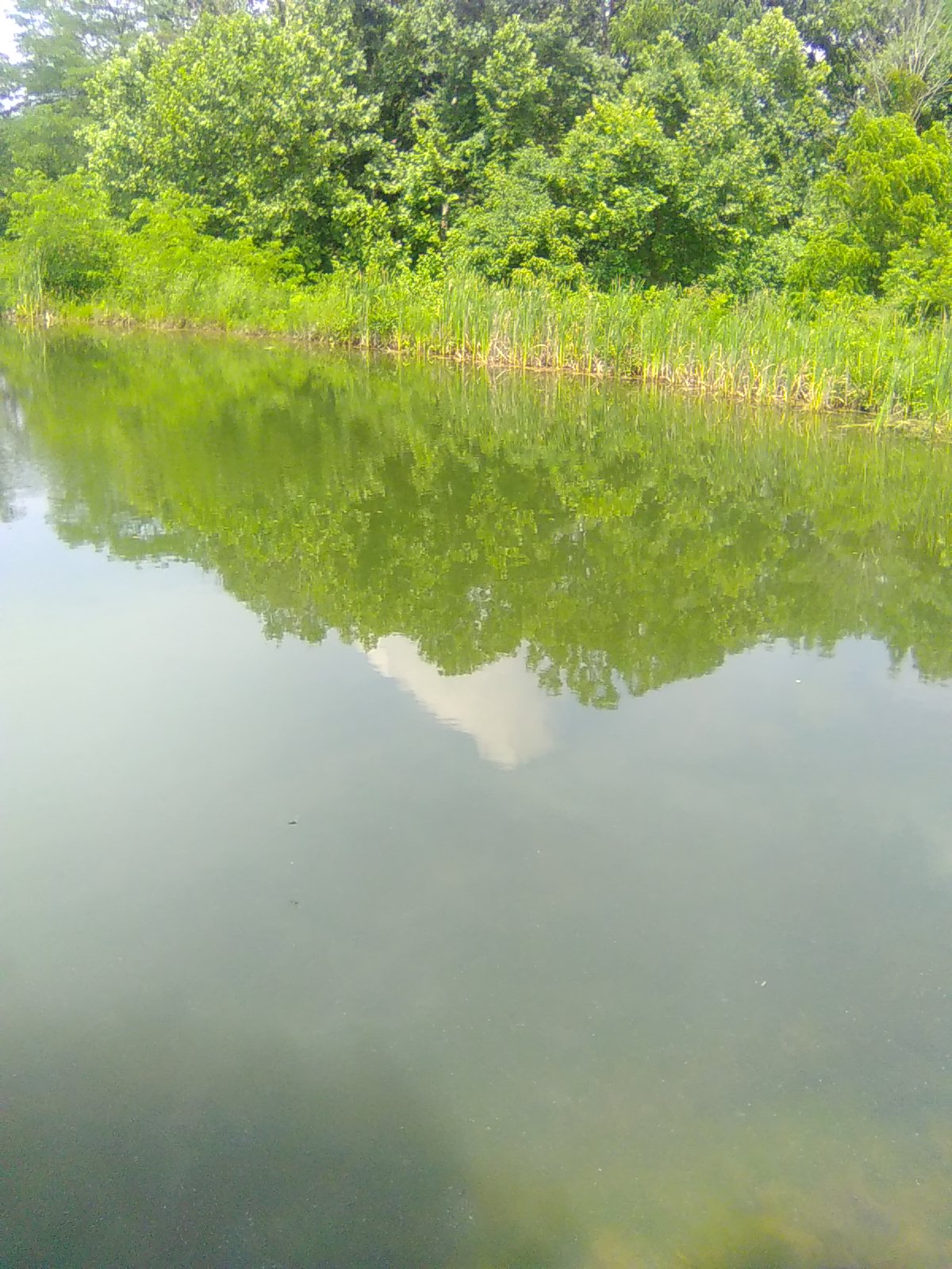 Boulder Pond
