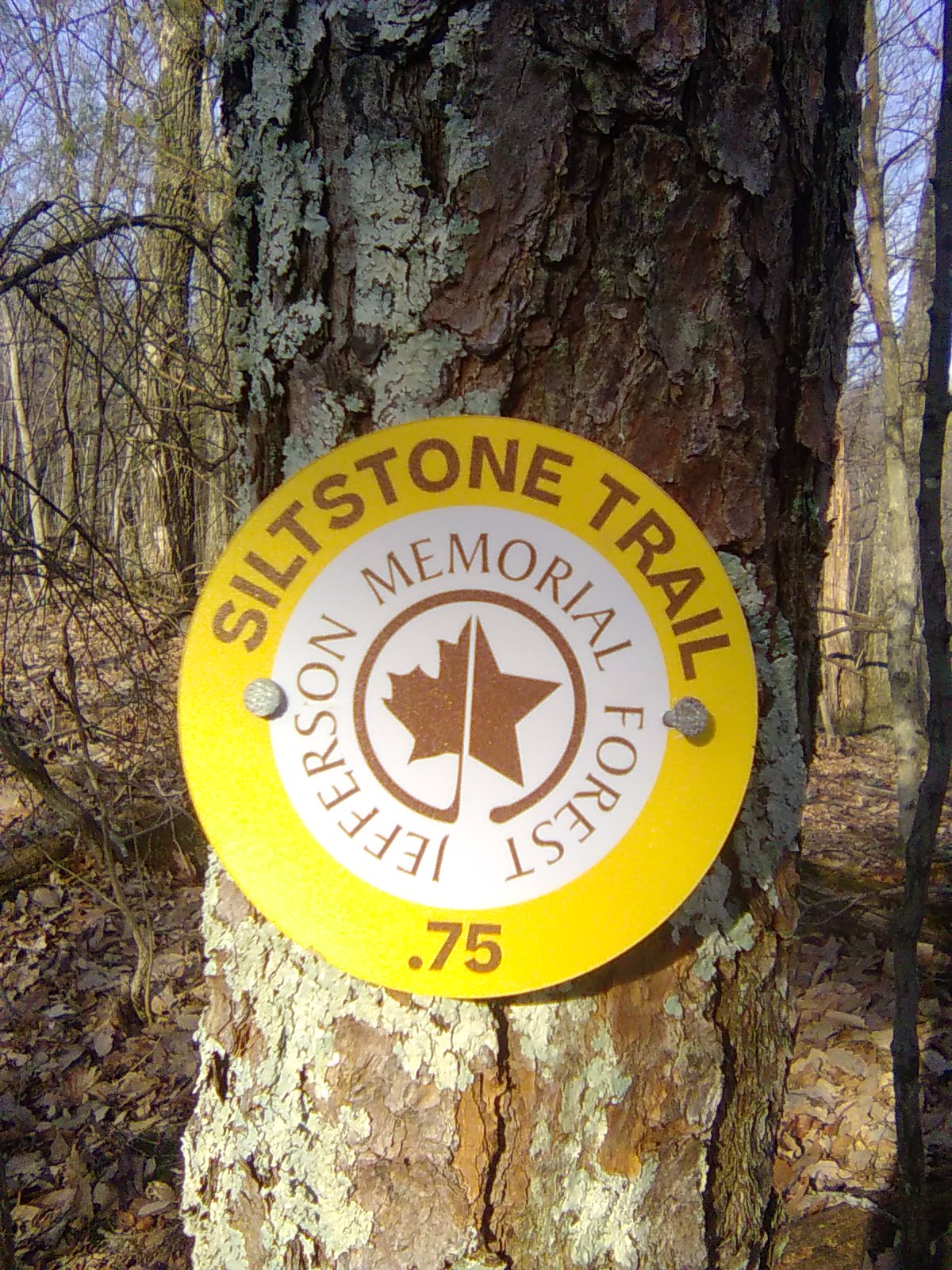 Trail Marker