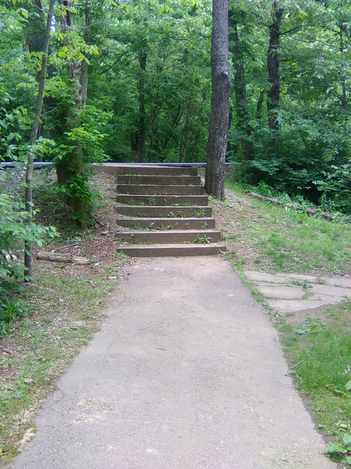 Steps to Hyacinth Trail