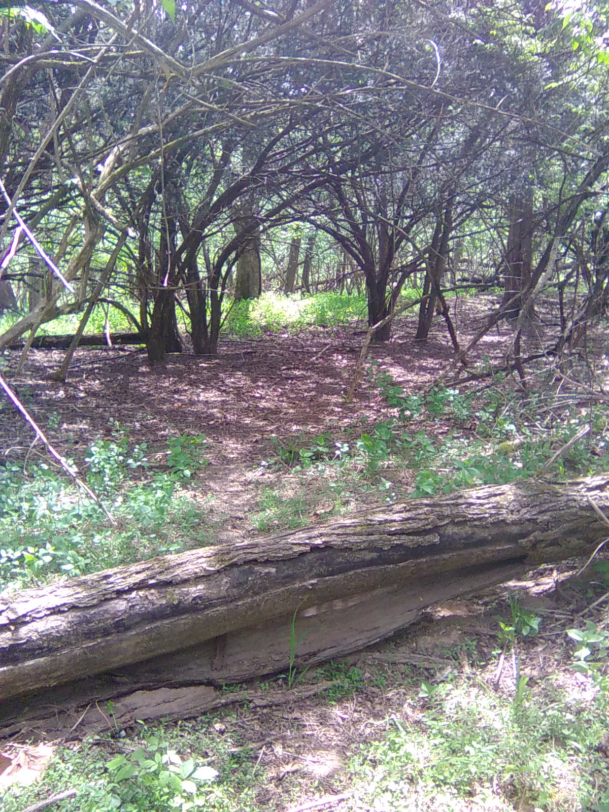 Good Gate