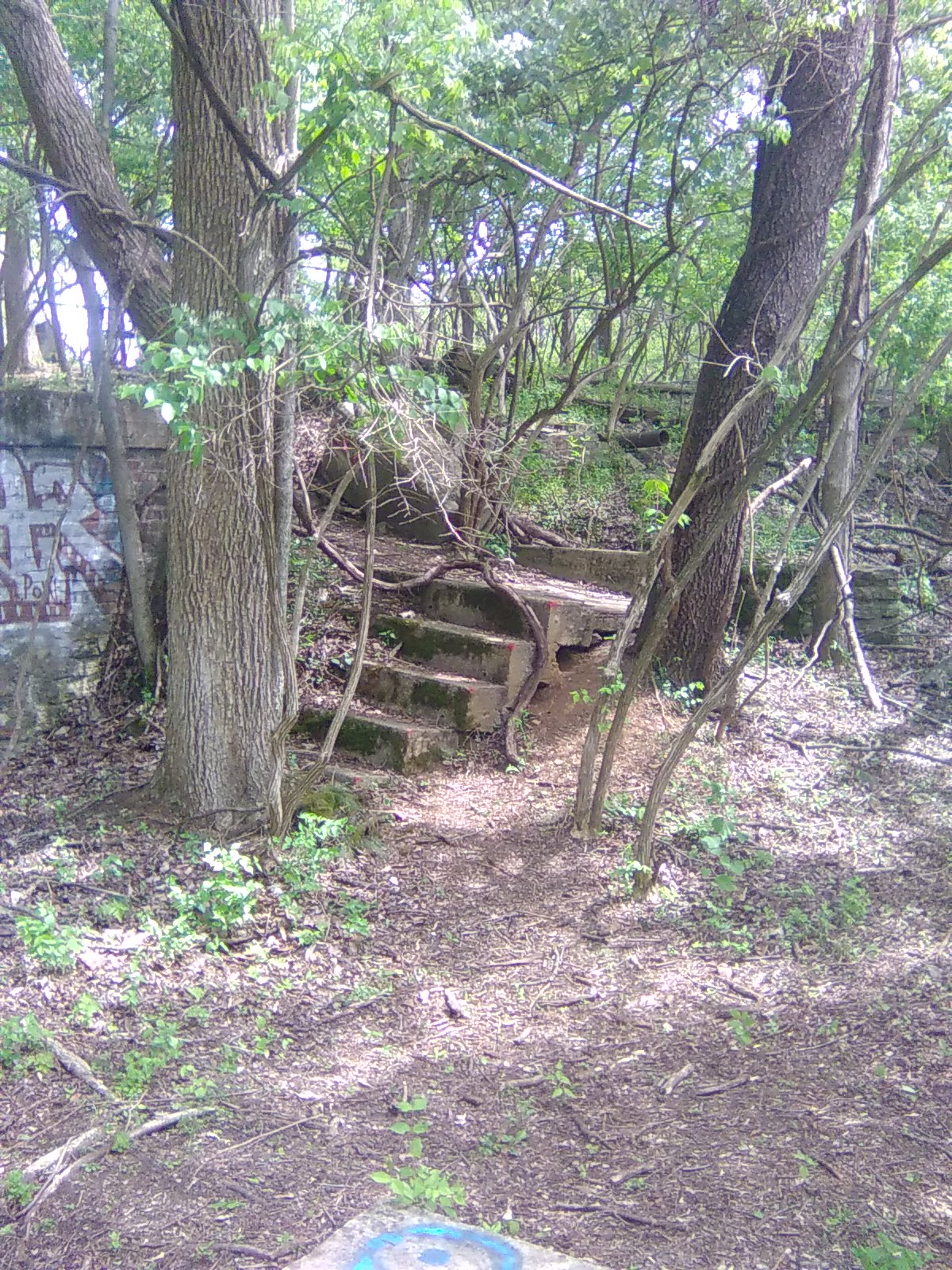 Steps and Gopher