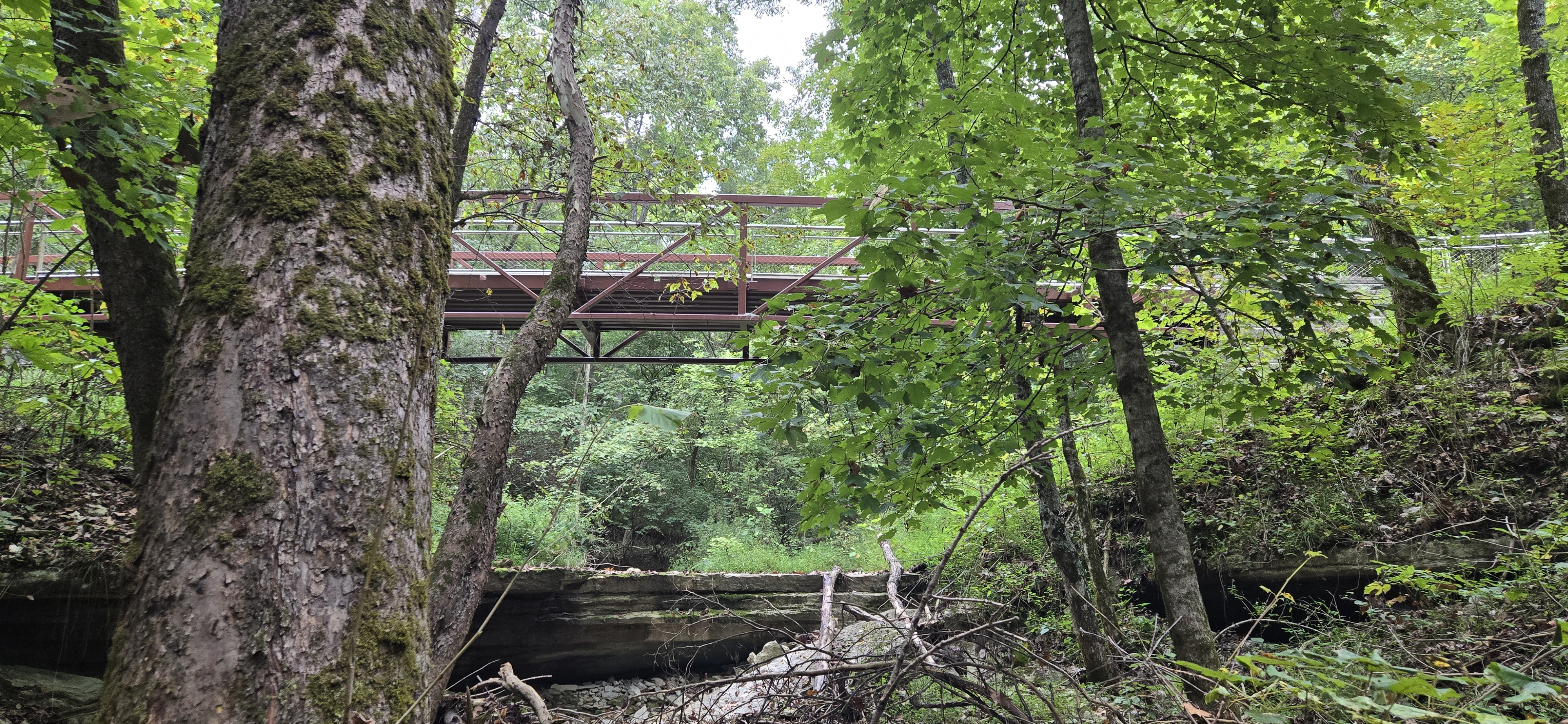 Loop Bridge